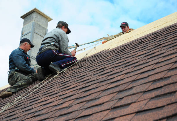 Roof Gutter Cleaning in Penryn, CA